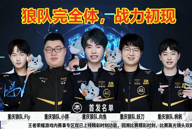 数年的发展