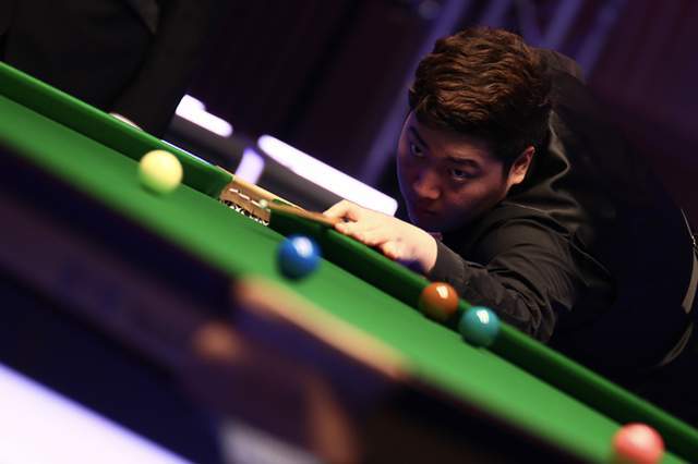 布莱顿展示 布莱顿展示