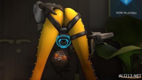 杨瀚森洛杉 杨瀚森洛杉