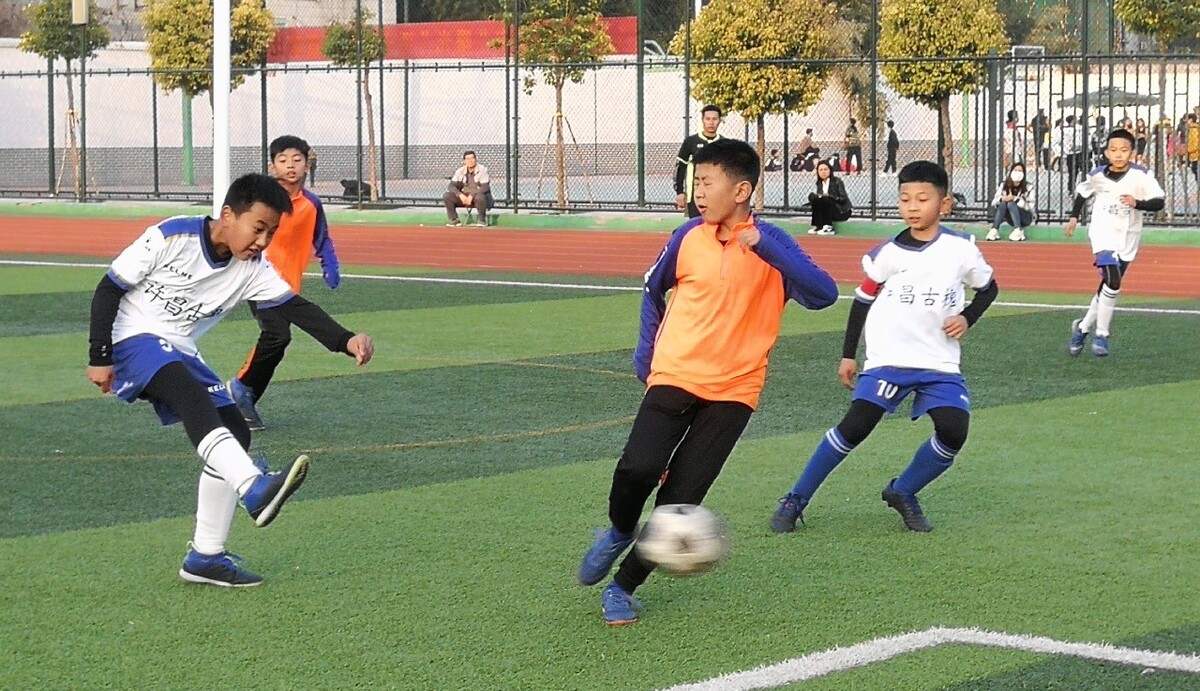 在地区性频 在地区性频